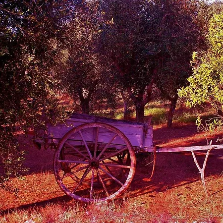 Farm stay Agriturismo La Crianza Squinzano