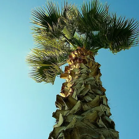 Vakantieboerderij La Crianza