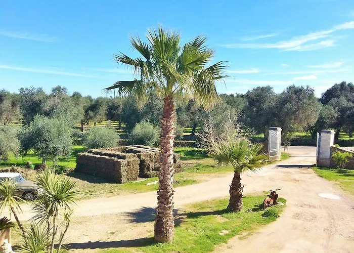 Agriturismo La Crianza